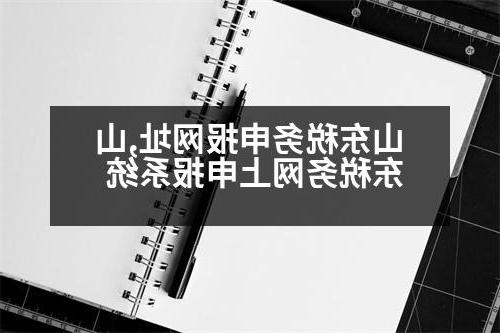 山东税务申报网址,山东税务网上申报系统