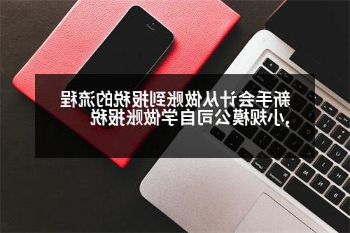 新手会计从做账到报税的流程,小规模公司自学做账报税