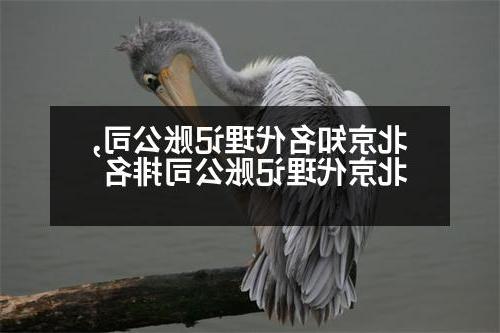 北京知名代理记账公司,北京代理记账公司排名