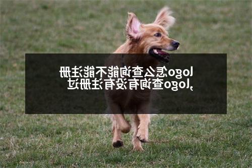 logo怎么查询能不能注册,logo查询有没有注册过