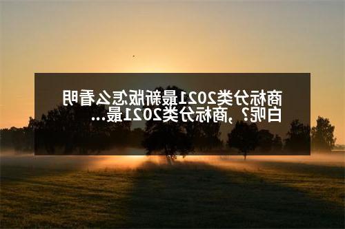 商标分类2021最新版怎么看明白呢？,商标分类2021最新版