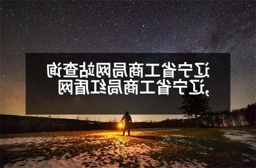 辽宁省工商局网站查询,辽宁省工商局红盾网