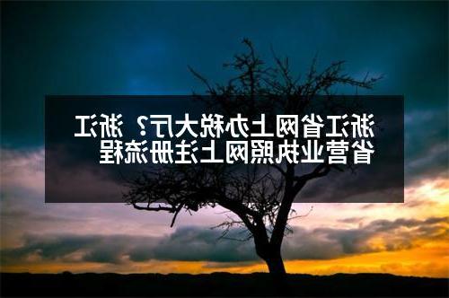 浙江省网上办税大厅？浙江省营业执照网上注册流程