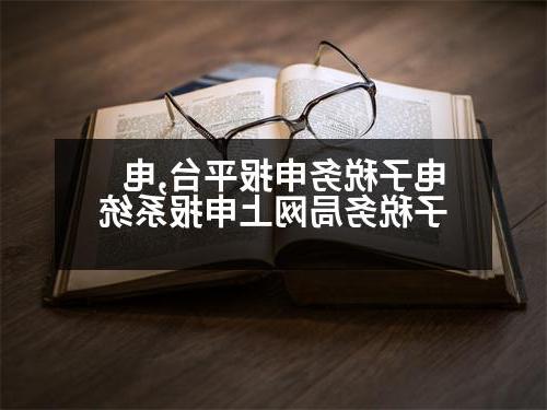 电子税务申报平台,电子税务局网上申报系统