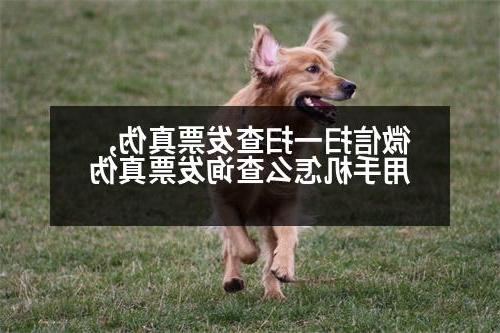 微信扫一扫查发票真伪,用手机怎么查询发票真伪