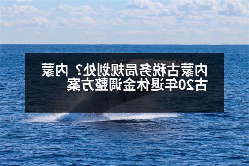 内蒙古税务局规划处？内蒙古20年退休金调整方案