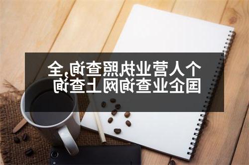 个人营业执照查询,全国企业查询网上查询