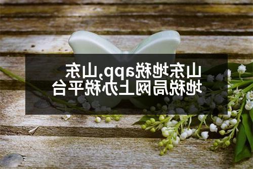 山东地税app,山东地税局网上办税平台