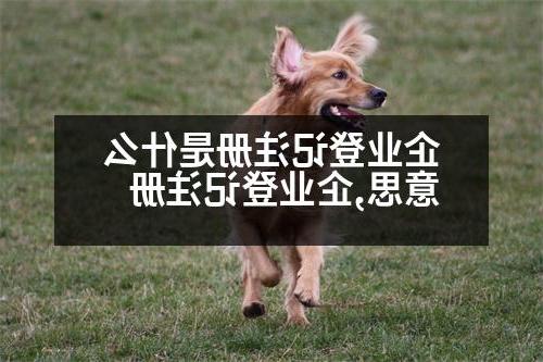 企业登记注册是什么意思,企业登记注册